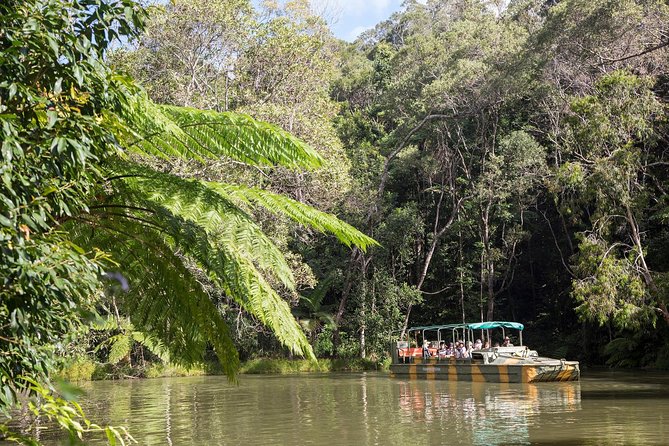 Kuranda Village, Army Duck Tour with Train and Skyrail (KDB) - Riding Skyrail above the rainforest