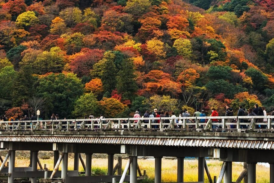 Kyoto: Arashiyama Tour with optional Sagano Romantic Train - Why Arashiyama works well in a half-day