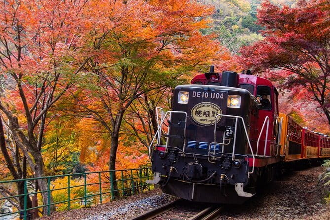 Kyoto Sagano Romantic Train in Arashiyama Bus Tour - Key points to know before booking