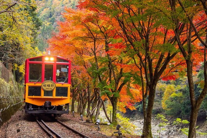Kyoto Sagano Romantic Train in Arashiyama Bus Tour - The Sagano Romantic Train: pretty, brief, and weather dependent