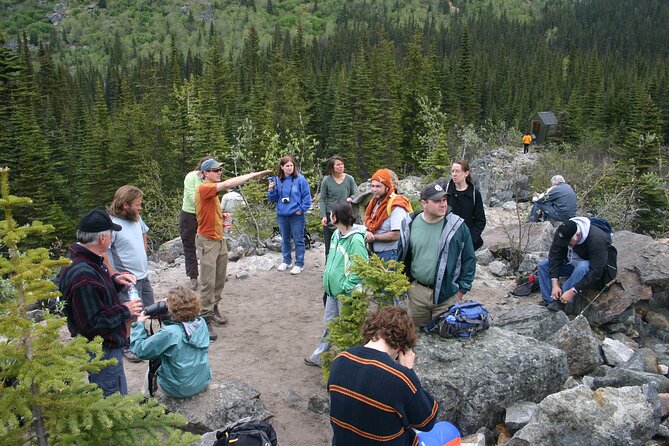 Laughton Glacier Hike and White Pass Rail Adventure - Why the White Pass train makes this outing different