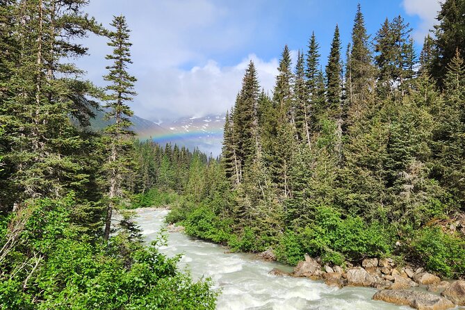 Laughton Glacier Hike and White Pass Rail Adventure - Walking on the glacier ice