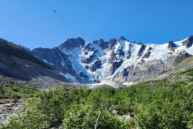 Laughton Glacier Hike and White Pass Rail Adventure - Who should book this glacier adventure?