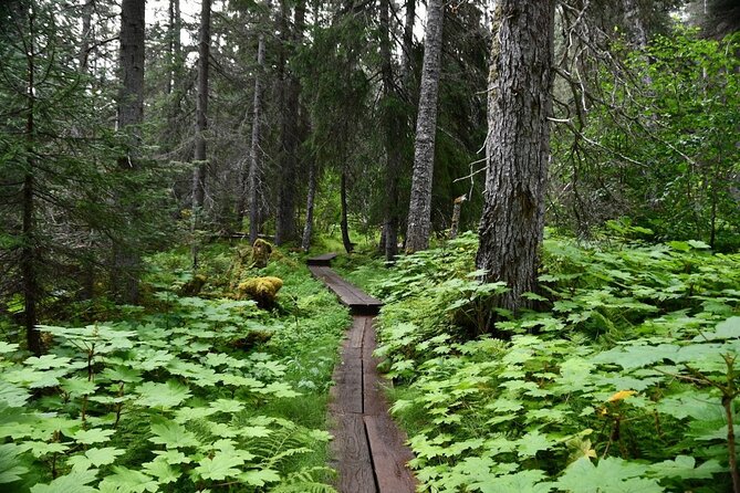 Laughton Glacier Hike and White Pass Rail Adventure - Booking, cancellation, and useful planning details