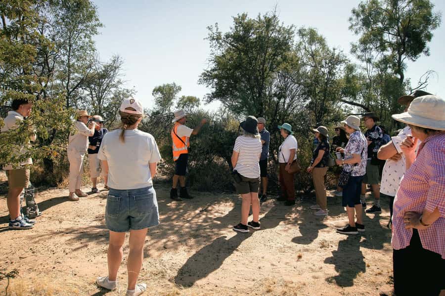 Longreach: Great Darr River Rail Run Outback Rail Adventure - Why this Longreach train trip feels different