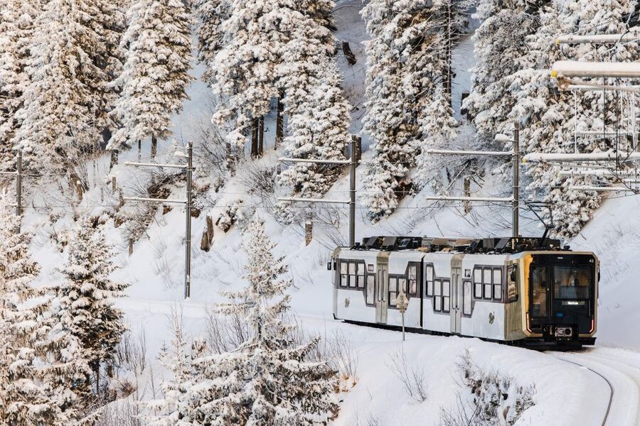 Lucerne: Boat Trip, Mount Rigi Train, & Mineral Baths Ticket - Who should book this experience?