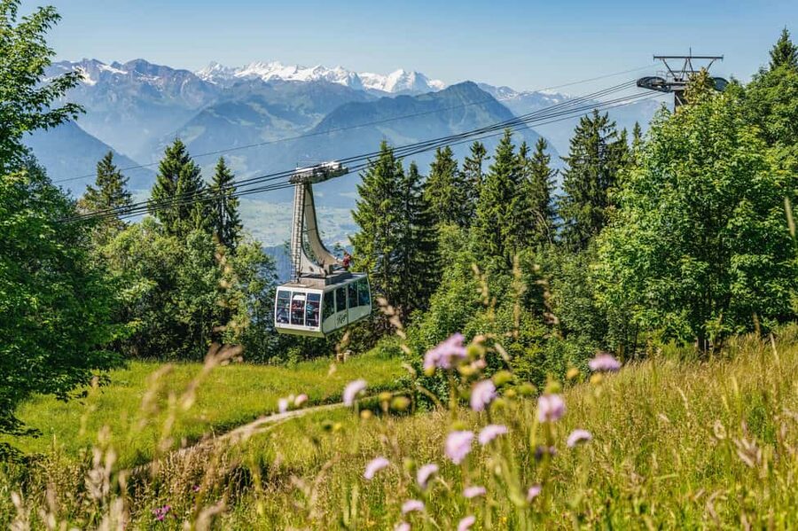 Lucerne: Mt Rigi Day Trip with Cruise, Cable Car, & Train - Rigi Kaltbad and the historic mountain railway