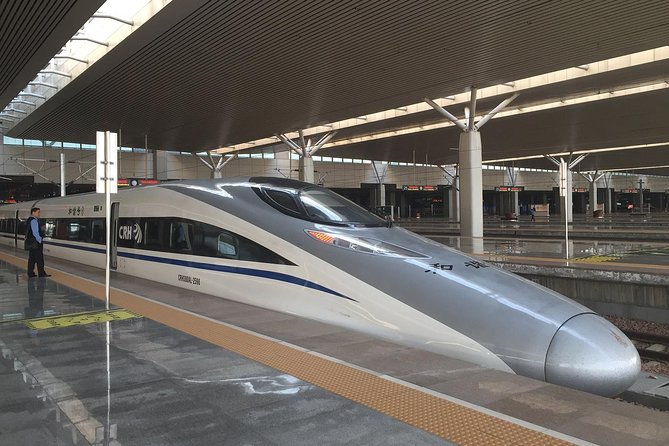 Luoyang & Shaolin Temple Day Trip from Xian by High-speed Train - What the $309 price really buys you