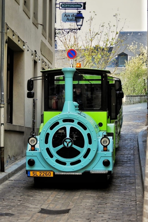 Luxembourg: Combi-Ticket City Train & the 7 Museums Pass - Villa Vauban, Dutch paintings in a city park