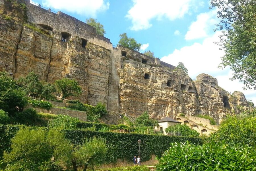 Luxembourg: Combi-Ticket City Train & the 7 Museums Pass - National Museum of Natural History and 160 years of science