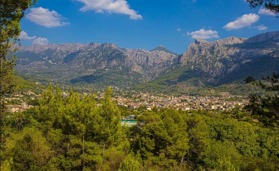 Mallorca: Exclusive Soller Train and Tram Half-Day Tour - What $67 buys you