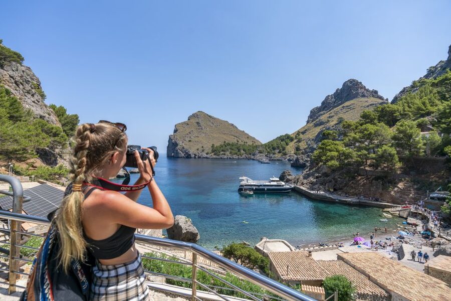 Mallorca: Island Tour with Boat, Tram & Train from the South - The guides, languages, and group atmosphere