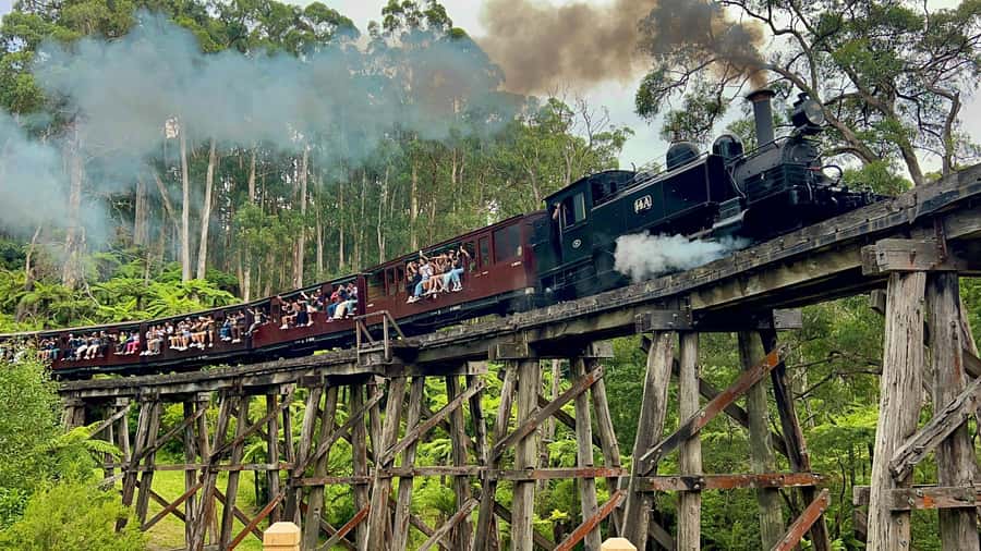 Melbourne: Half-Day Puffing Billy Steam Train Experience - Why Puffing Billy works so well as a Melbourne outing