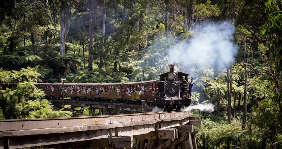 Melbourne: Half-Day Puffing Billy Steam Train Experience - The Puffing Billy ride through the Dandenong Ranges