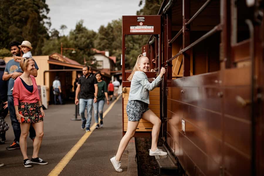 Melbourne: Penguin Parade Tour with Puffing Billy Train Ride - Key points at a glance