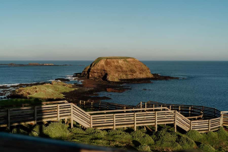 Melbourne: Penguin Parade Tour with Puffing Billy Train Ride - The Nobbies viewpoint and Phillip Island’s coast