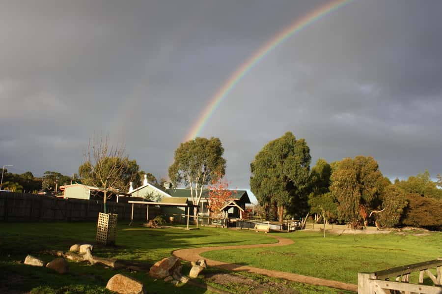 Melbourne: Penguin Parade Tour with Puffing Billy Train Ride - The coach, guide, and language options