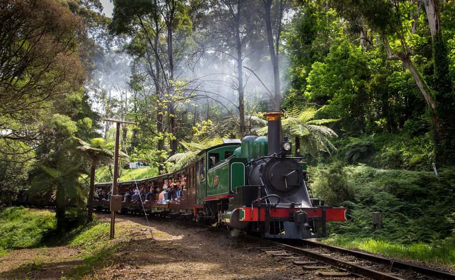 Melbourne: Penguin Parade Tour with Puffing Billy Train Ride - Brighton Beach’s colorful first stop