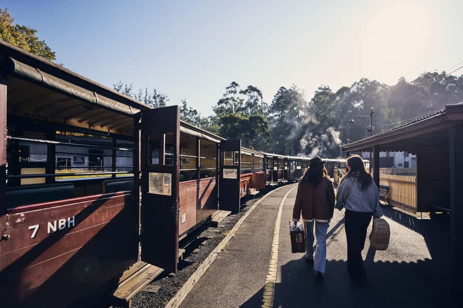 Melbourne: Puffing Billy Railway & Rainforest Tour - Puffing Billy from Belgrave to Lakeside