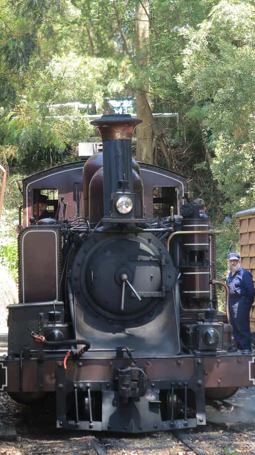 Melbourne: Puffing Billy Train and Penguin Island Day Tour - Puffing Billy Railway and the Dandenong Ranges