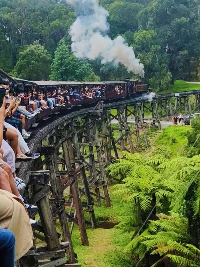 Melbourne: Puffing Billy Train and Penguin Island Day Tour - Melbourne pickup and the 75-minute ride to Puffing Billy