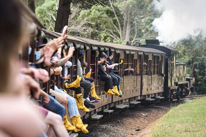 Melbourne Puffing Billy Train and Penguin Parade Day Tour Escape - Maru Koala and Animal Park adds close-up wildlife