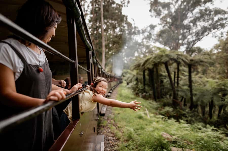 Melbourne: Puffing Billy Train & Penguin Parade Adventure - Why this day trip works