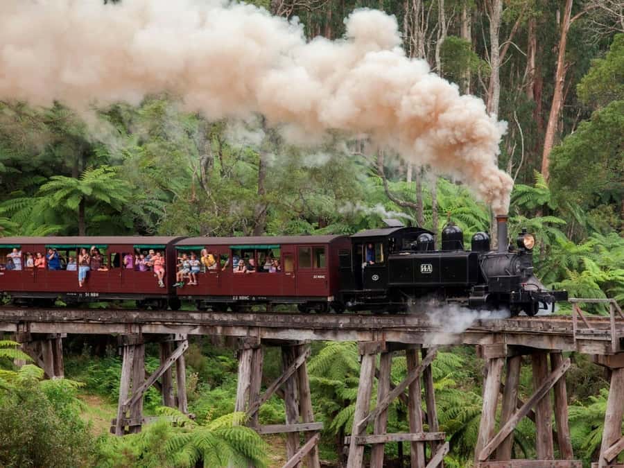 Melbourne: Puffing Billy Train Wildlife Zoo Private Tour - Puffing Billy through the Dandenong Ranges