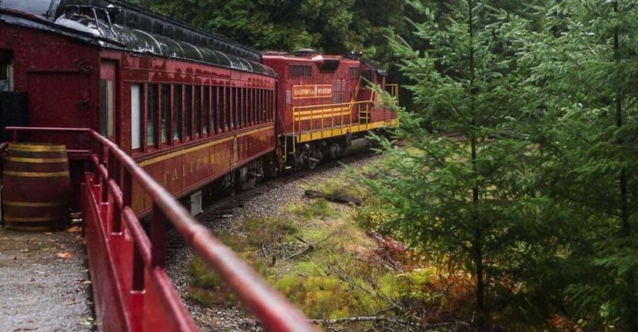 Mendocino County: Skunk Train Wolf Tree Turn Train Ride - Key Points to Know Before You Ride