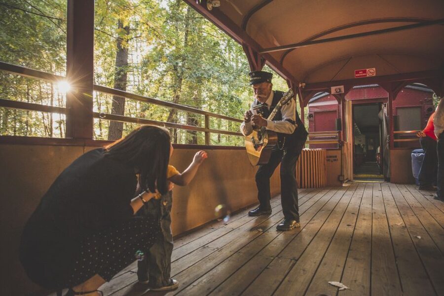 Mendocino County: Skunk Train Wolf Tree Turn Train Ride - Riding a 140-Year-Old Logging Route from Willits