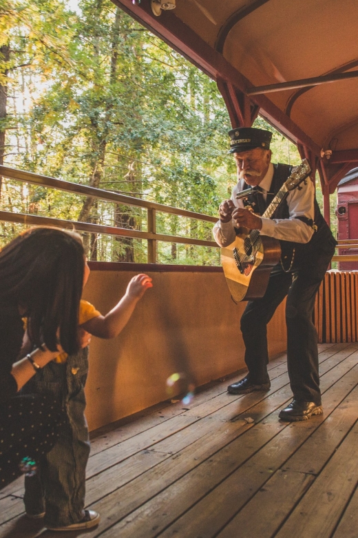 Mendocino County: Skunk Train Wolf Tree Turn Train Ride - Is $70 a Good Price?
