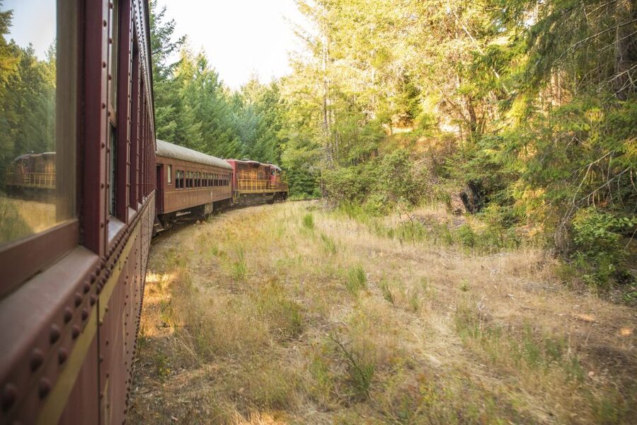 Mendocino County: Skunk Train Wolf Tree Turn Train Ride - How to Make the Most of the Two Hours
