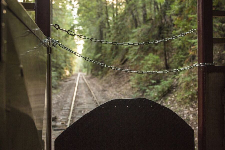 Mendocino County: Skunk Train Wolf Tree Turn Train Ride - Why the Skunk Train Has Such an Odd Name