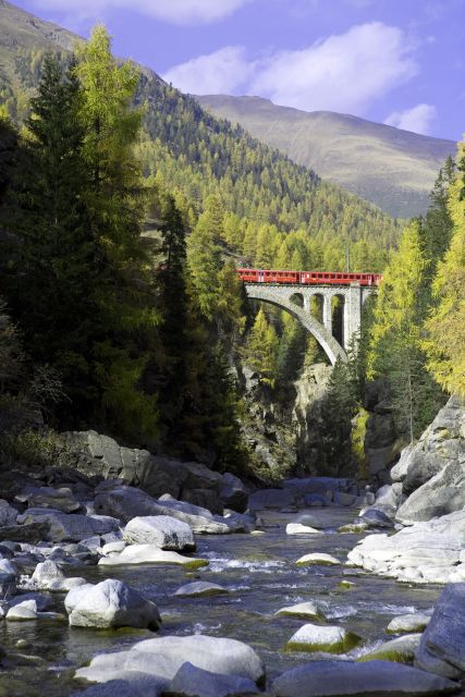 Milan to St. Moritz: Scenic Bernina Train Tour with Guide - The Bernina railway through glaciers and viaducts
