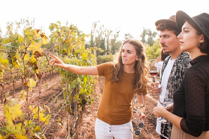 Montserrat & Cogwheel Train, Gourmet Wine Tasting & Tapas/Lunch - Visiting Oller del Mas, a castle winery