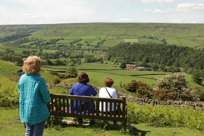 Moors, Whitby & The Yorkshire Steam Railway Day Trip from York - The guide can make or break this day