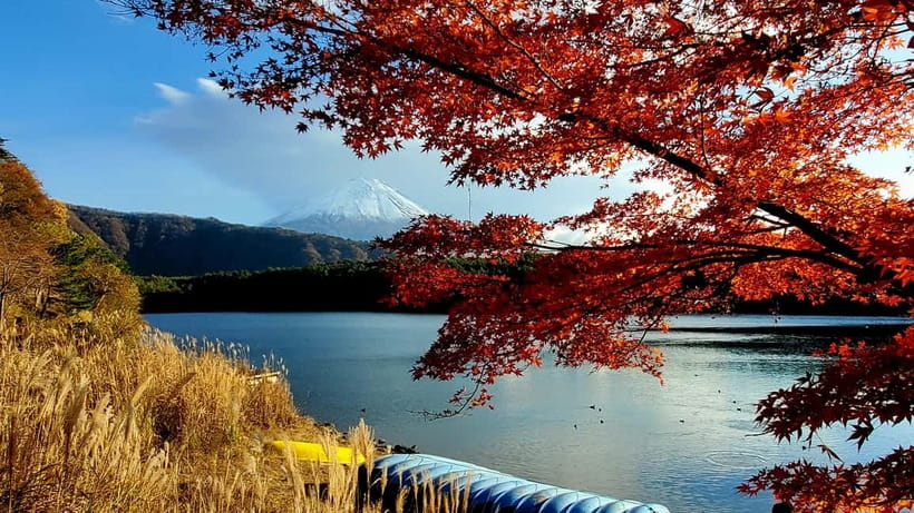 Mount Fuji & Hakone Private Tour with Bullet Train Return - Key points at a glance