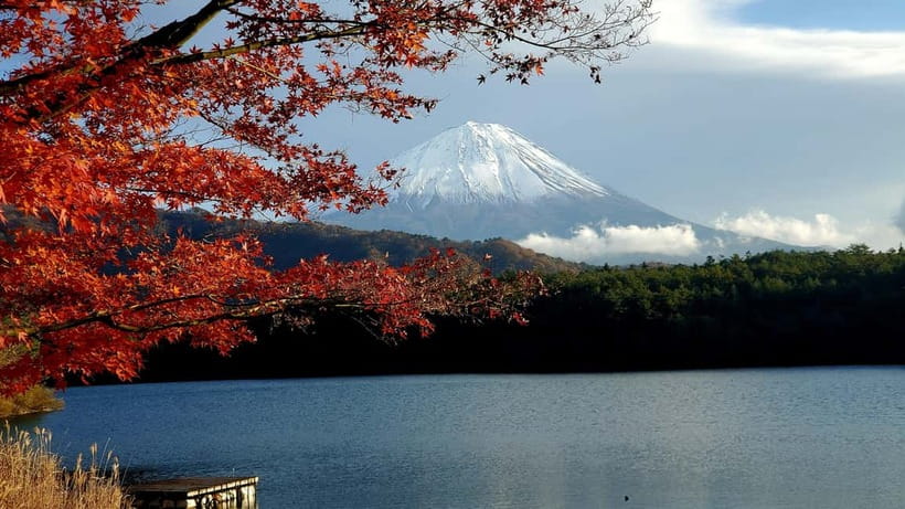 Mount Fuji & Hakone Private Tour with Bullet Train Return - The Shinkansen finish at Odawara