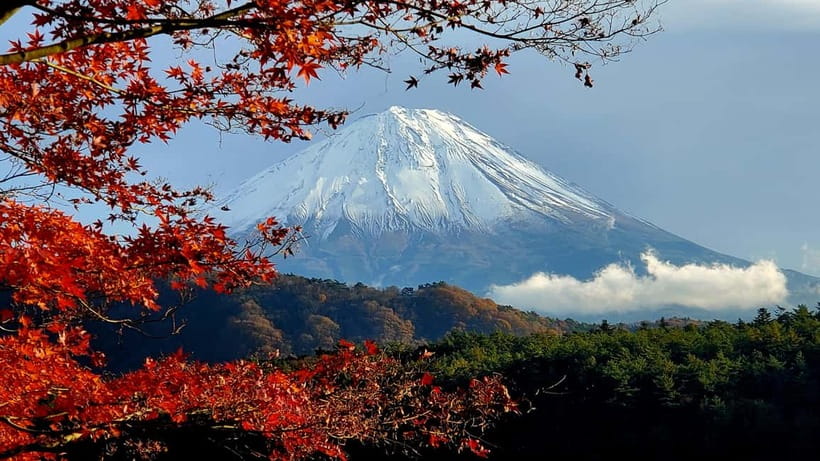 Mount Fuji & Hakone Private Tour with Bullet Train Return - What this private day is really offering