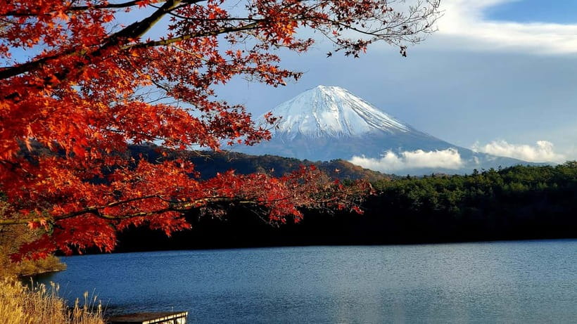 Mount Fuji & Hakone Private Tour with Bullet Train Return - Oshino Hakkai and the spring-fed ponds
