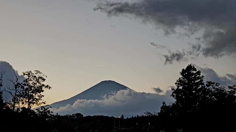 Mount Fuji & Hakone Private Tour with Bullet Train Return - Owakudani Valley and its sulfurous air