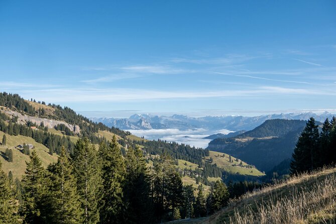 Mount Rigi Tour from Lucerne Historic Train and Boat Ride - Arth-Goldau and the 1806 Goldau landslide