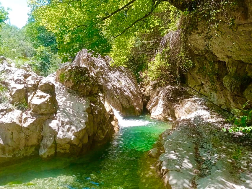Mountain Train Experience: Hike & Mystic Forest (From Nice) - What makes this day special