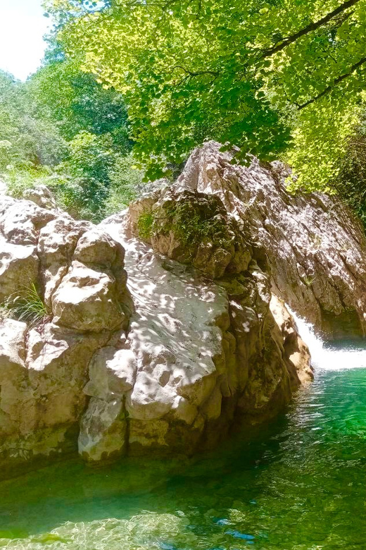 Mountain Train Experience: Hike & Mystic Forest (From Nice) - Lunch with local food, but confirm the plan