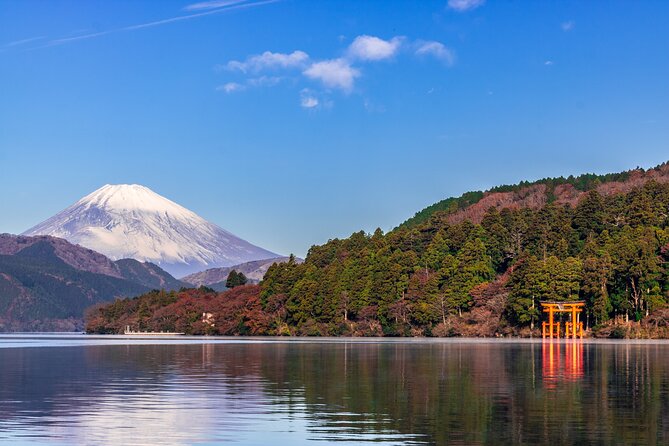 Mt. Fuji and Hakone Day Trip From Tokyo with Bullet Train Option - Is $97.52 good value for an 11-hour day?