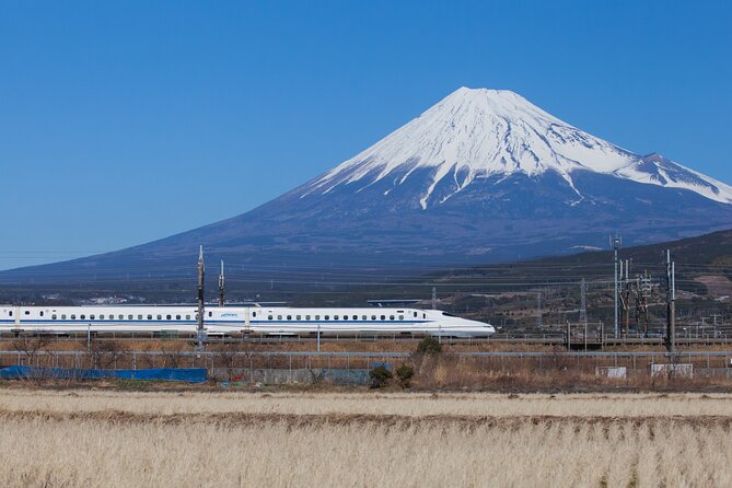 Mt. Fuji and Hakone Day Trip From Tokyo with Bullet Train Option - Lunch is convenient, but the add-on needs a little thought