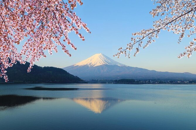 Mt Fuji & Hakone Cruise, Drum Show Bullet Train 1 Day from Tokyo - Key points to know before booking
