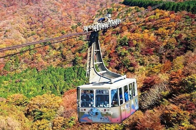 Mt Fuji & Hakone Cruise, Drum Show Bullet Train 1 Day from Tokyo - The Kodama Shinkansen back to Tokyo