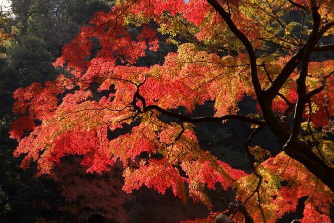 Mt Fuji & Hakone Private Tour from Tokyo: Return by Bullet Train - What the guides add to the day
