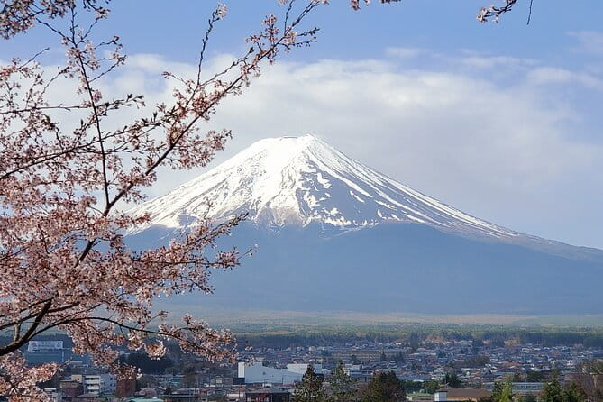 Mt Fuji & Hakone Private Tour from Tokyo: Return by Bullet Train - Chureito Pagoda and the first Fuji view